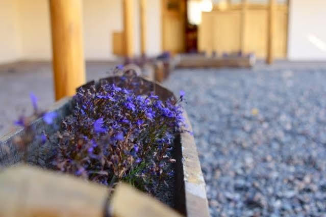 Hotel Tierra Mapuche เอสเกล ภายนอก รูปภาพ
